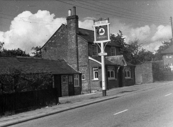 The Dog, Tylers Green