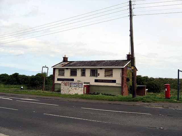 The Seagull, Blackhall Rocks The Seagull, Blackhall Rocks