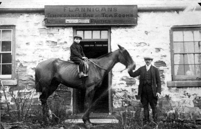 Bird In The Bush, Penshaw