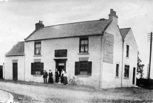 Fir Tree, Wingate Fir Tree, Wingate