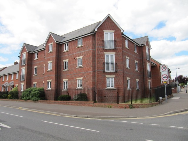 Flying Fox, Colchester