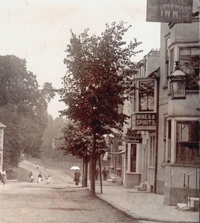 Thatched House, Epping Thatched House, Epping