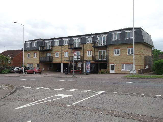 The Badger, Hainault The Badger, Hainault