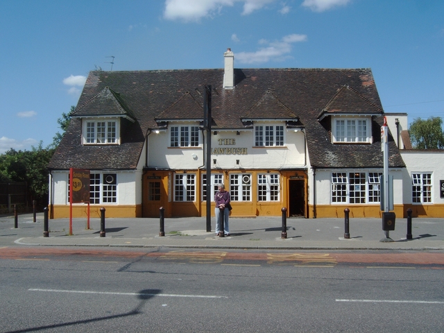 The Hawbush, Little Heath The Hawbush, Little Heath