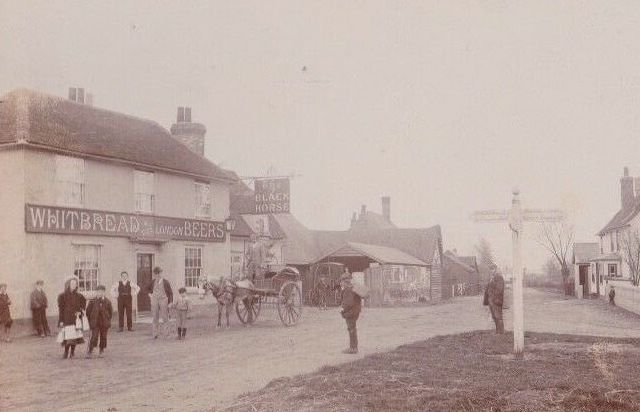 Black Horse, White Roding Black Horse, White Roding