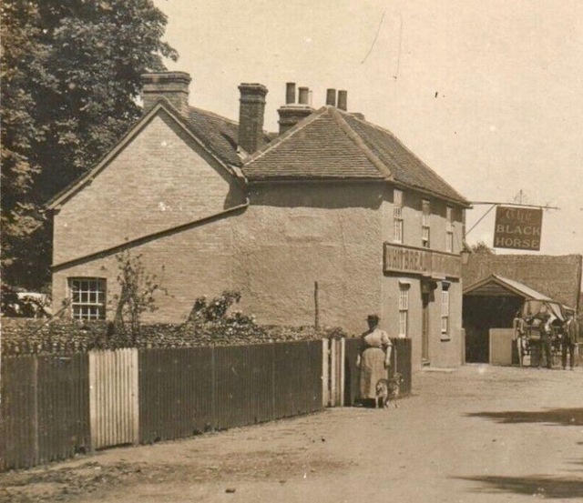Black Horse, White Roding Black Horse, White Roding