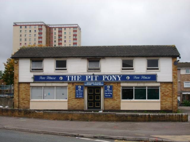 Pit Pony, Bristol Pit Pony, Bristol