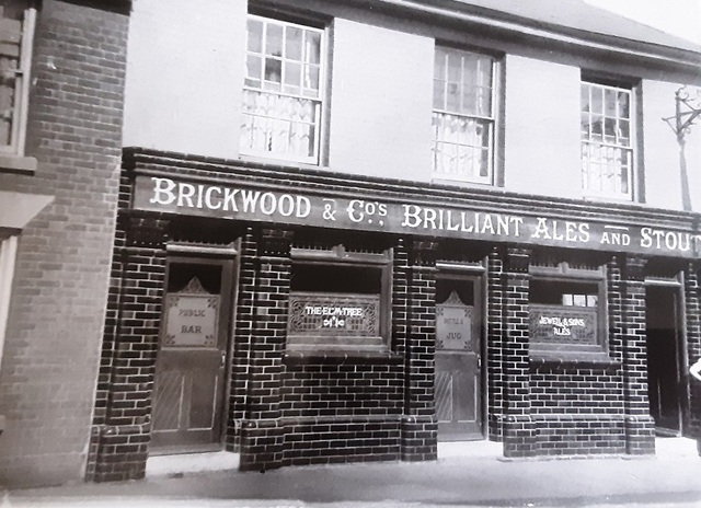 Elm Tree, Gosport