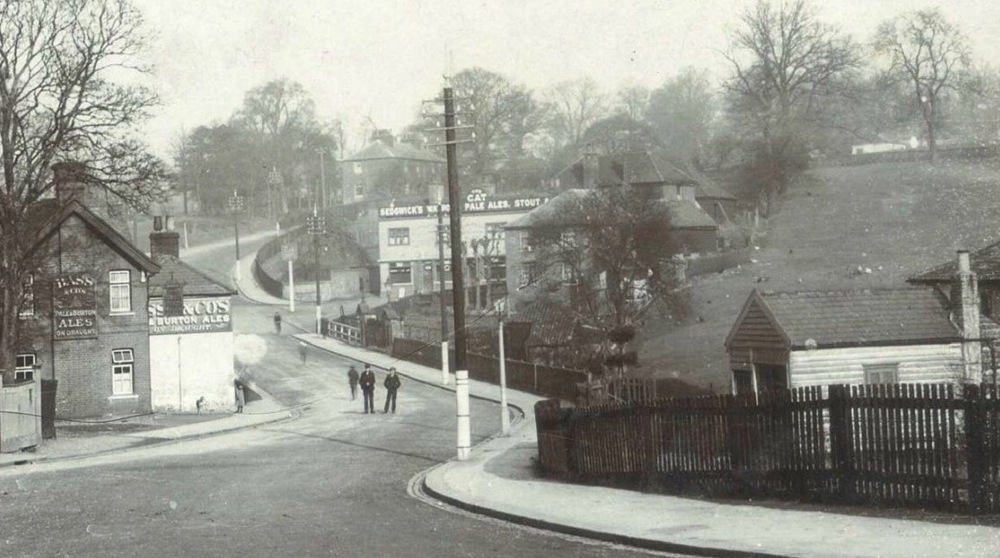 The Cat, Barnet