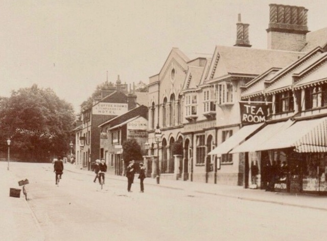 The Dog, Hitchin The Dog, Hitchin