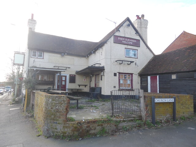 The Tree, Rickmansworth The Tree, Rickmansworth