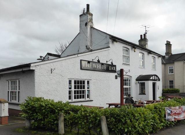 White Bear, Royston White Bear, Royston
