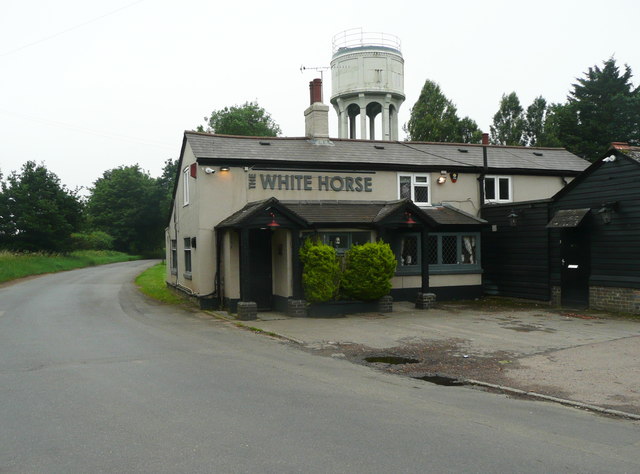White Horse, Tea Green White Horse, Tea Green