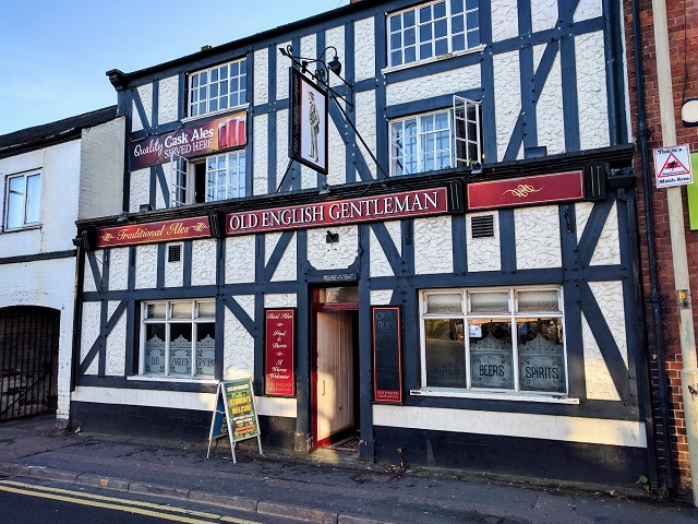 Old English Gentleman, Loughborough Old English Gentleman, Loughborough