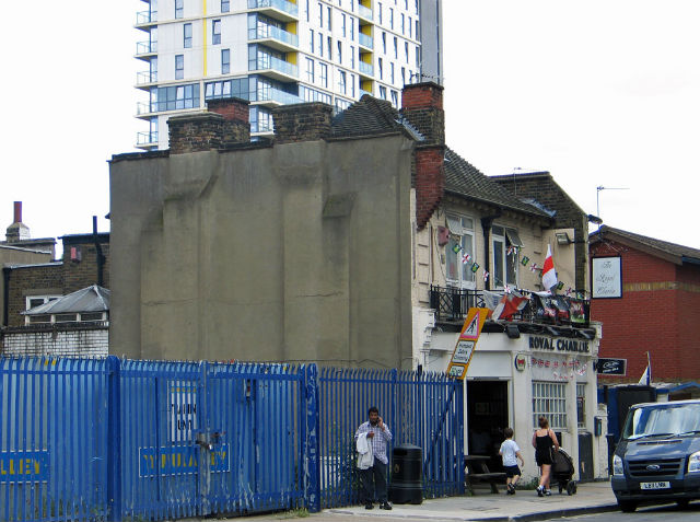 Royal Charlie, Poplar Royal Charlie, Poplar