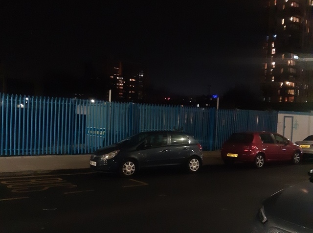 Royal Charlie, Poplar Royal Charlie, Poplar