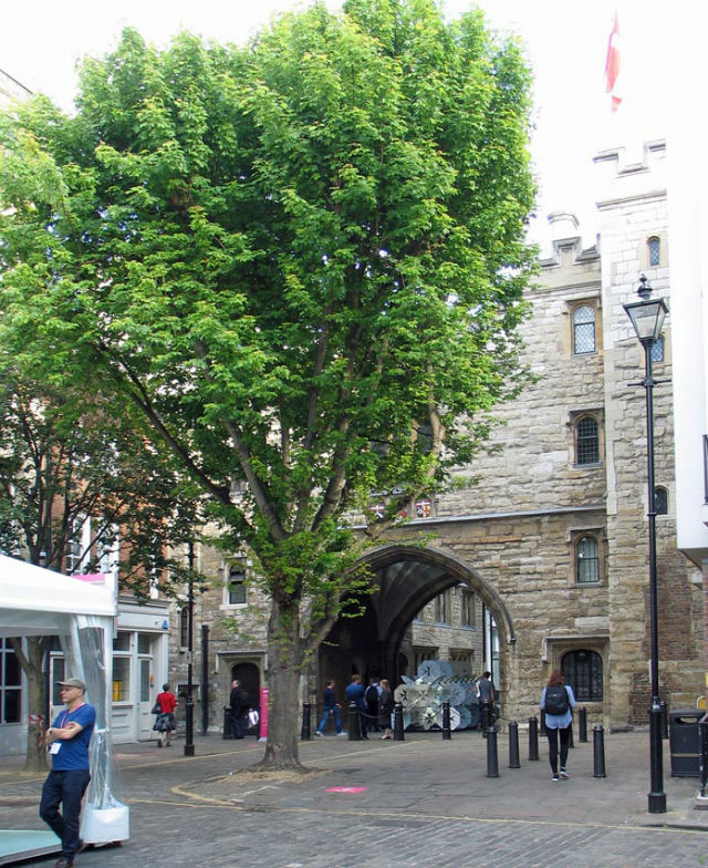 Jerusalem Tavern, Clerkenwell Jerusalem Tavern, Clerkenwell