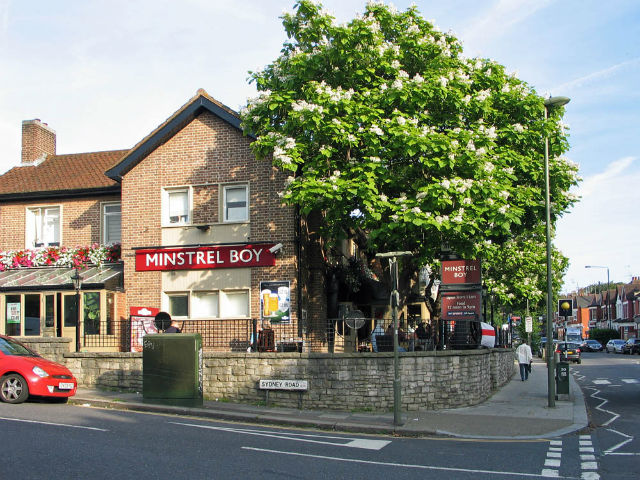 Minstrel Boy, Muswell Hill Minstrel Boy, Muswell Hill