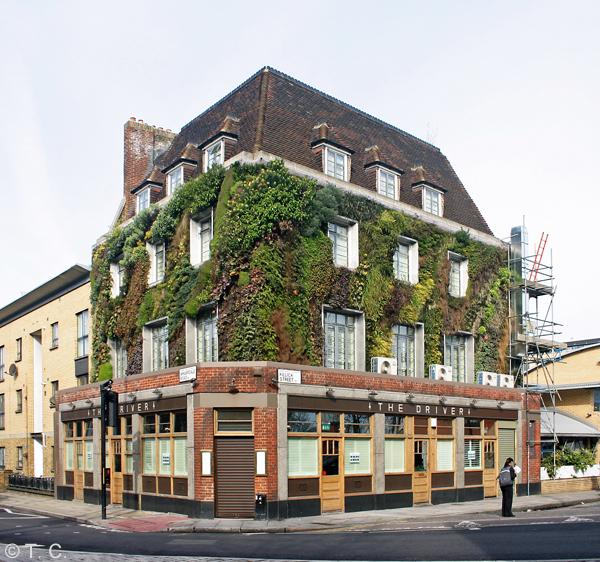 General Picton, Islington General Picton, Islington