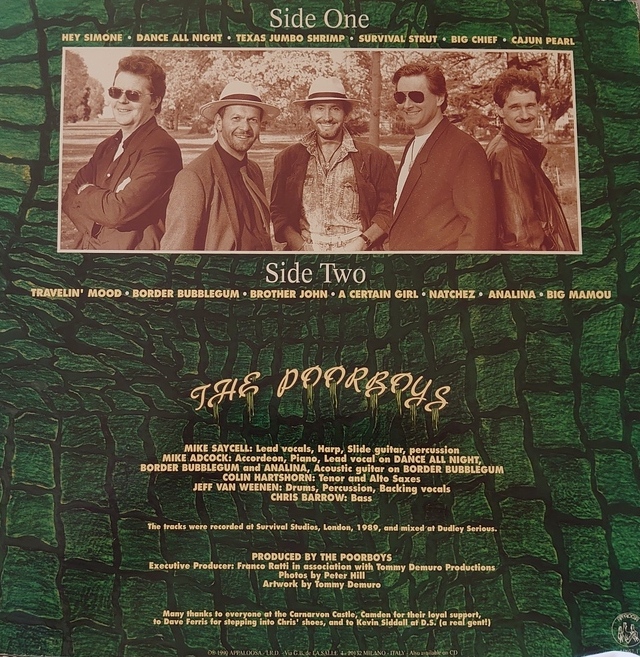 Caernarvon Castle, Camden Caernarvon Castle, Camden