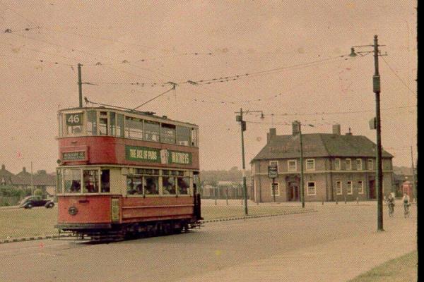 Yorkshire Grey, Eltham Yorkshire Grey, Eltham