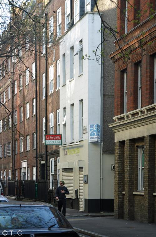 Brown Bear, Bloomsbury Brown Bear, Bloomsbury