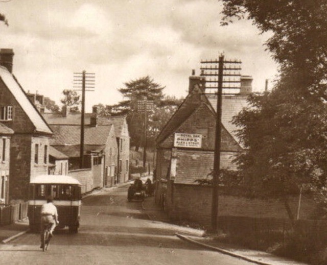 Royal Oak, Flore Royal Oak, Flore