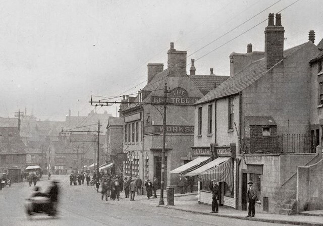 Elm Tree, Mansfield