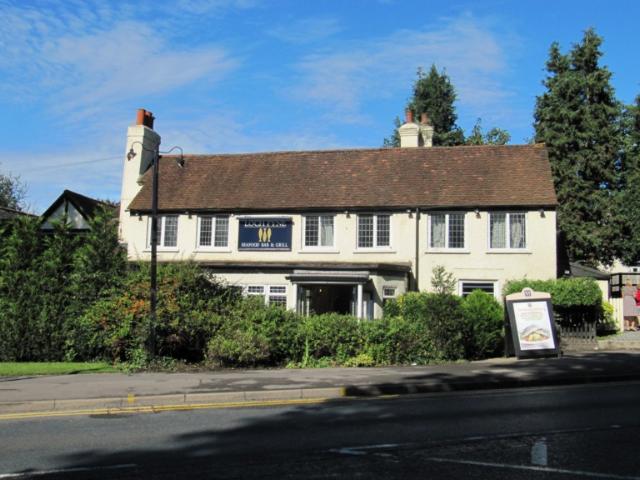 Little White Lion, Cobham