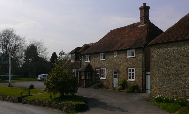 Holly Tree, Easebourne Holly Tree, Easebourne