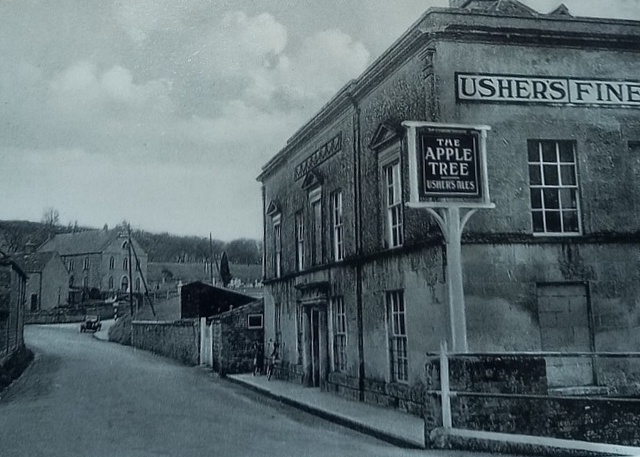 Apple Tree, Dilton Marsh