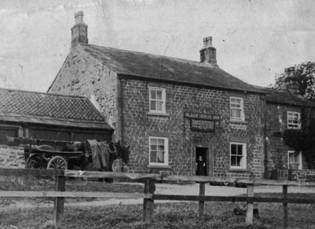 Black Horse, Healey Black Horse, Healey