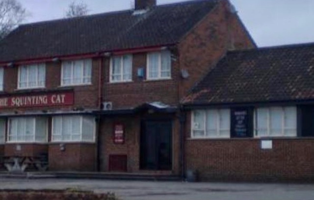 Squinting Cat, Leeds, LS14 Squinting Cat, Leeds, LS14