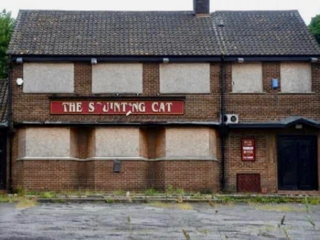 Squinting Cat, Leeds, LS14 Squinting Cat, Leeds, LS14