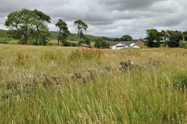 Goat Gap Inn, Newby Goat Gap Inn, Newby