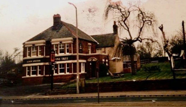 Vine Tree, Wakefield Vine Tree, Wakefield